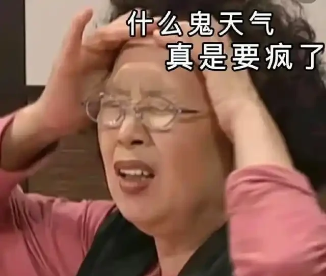 高溫40℃也不怕!這7種「曬不死」的開花機器,越熱越滿盆!