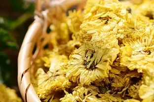 菊花蒸幾分鐘再晾曬？掌握這個時間，留住秋日的金黃與芬芳
