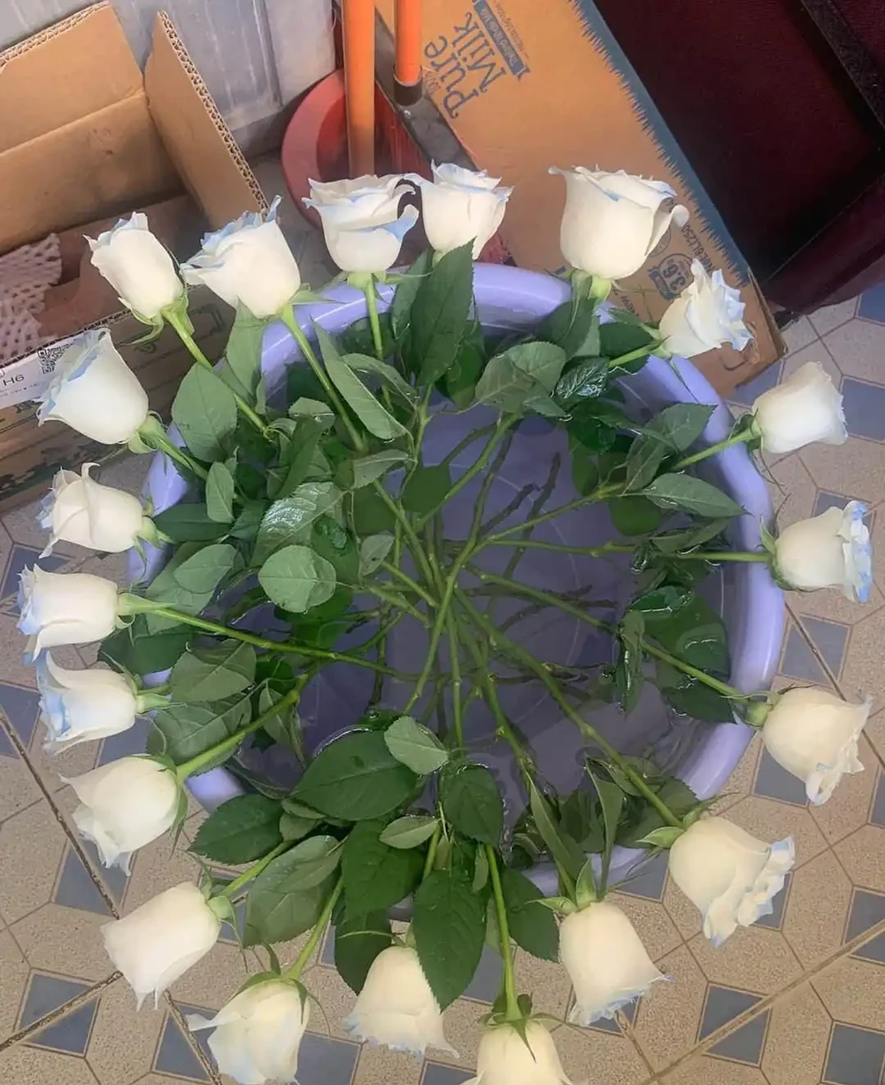 醒花要把花朵一起泡水裡嗎?醒花的常見誤區,為什麼要醒花?