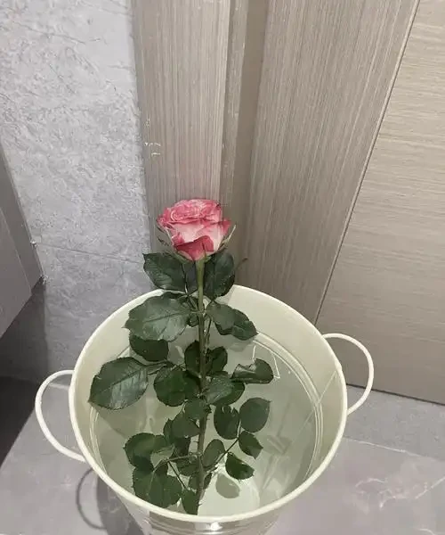 醒花要把花朵一起泡水裡嗎?醒花的常見誤區,為什麼要醒花?