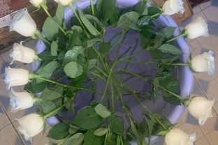 醒花要把花朵一起泡水裡嗎？醒花的常見誤區，為什麼要醒花？