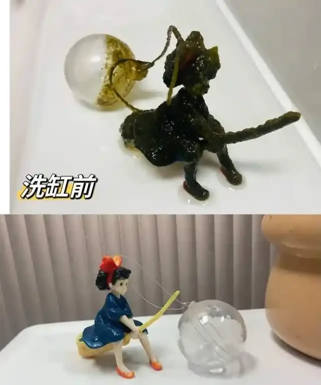 養了銅錢草8年,發現「魚缸養」才是開啟它的正確方式,魚肥草美