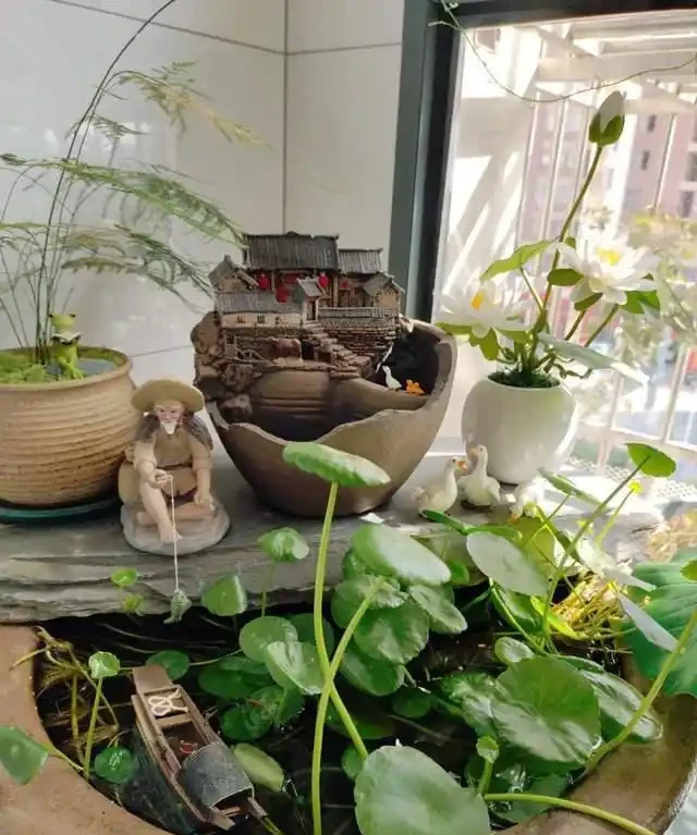 養了銅錢草8年,發現「魚缸養」才是開啟它的正確方式,魚肥草美