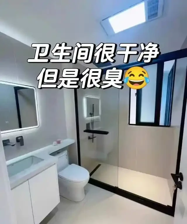 衛生間放這7種花之一，3天臭味全沒！特別是第3種，快試試