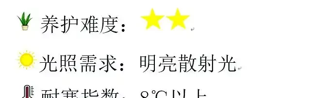 幸福樹與綠寶養護指南:差異與技巧解析