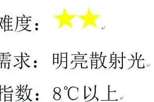 幸福樹與綠寶養護指南：差異與技巧解析