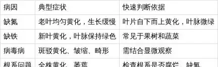 如何快速判斷作物上的黃葉問題？