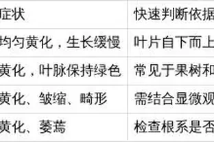 如何快速判斷作物上的黃葉問題？