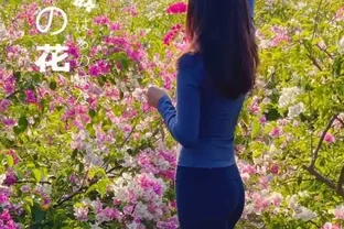 這10種「勤花」九重葛，全年開不停，看看你入手了幾種？
