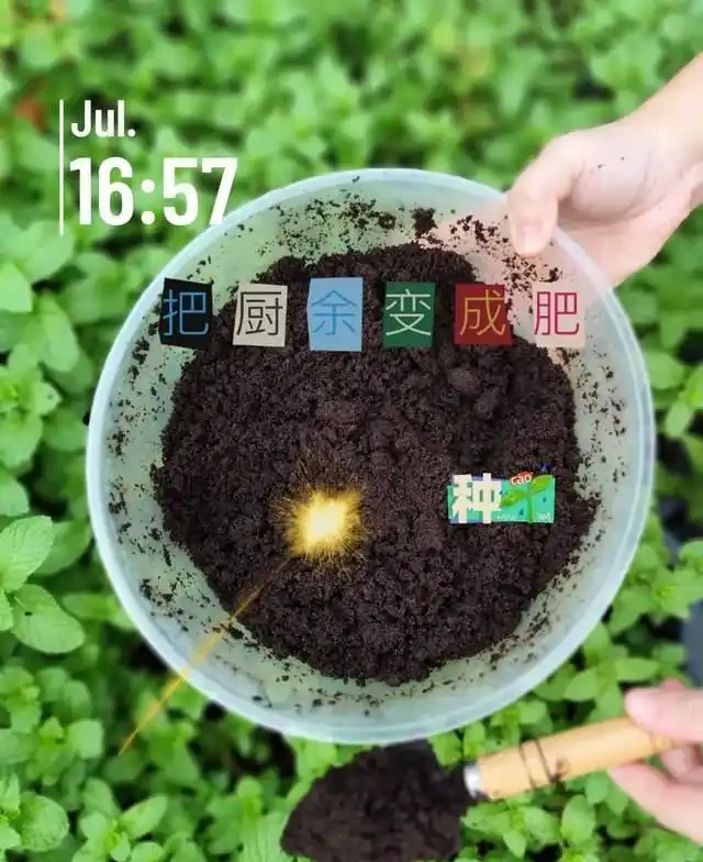 5種花就是「大酒鬼」,用啤酒灌一灌,花朵比葉子還要多!