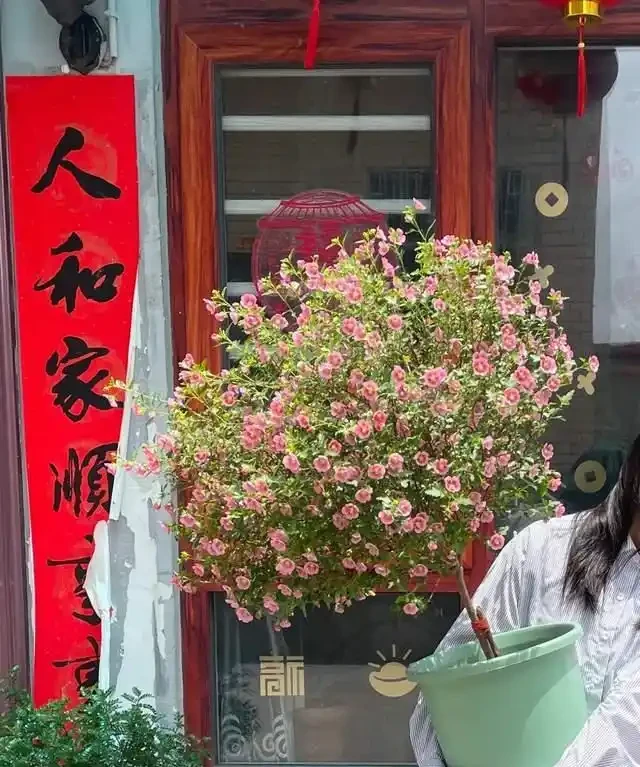 「比香水還要香」的9種花，陽臺上養一盆，滿屋子都飄香！