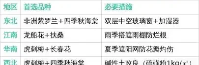 365天開花不斷的花卉:科學篩選與養護全攻略