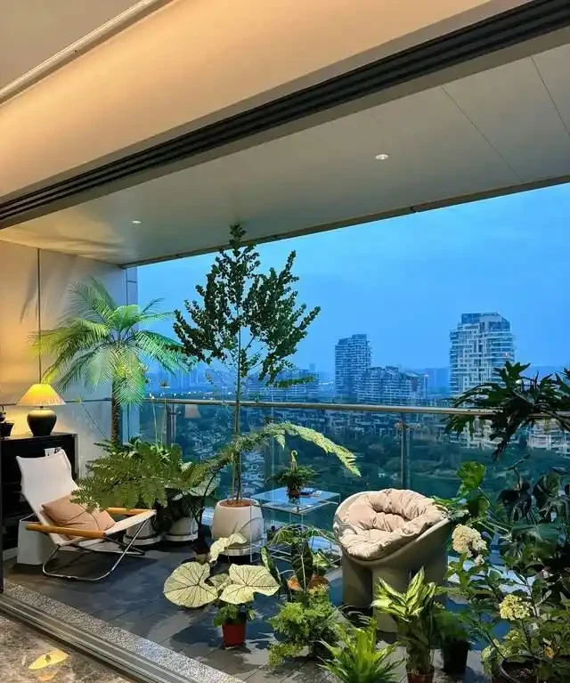 6種花是「吸毒王」,客廳養幾盆,廢氣毒氣吸光光,淨化空氣好強