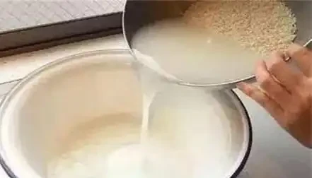 複合肥料撒施還是溶水澆?老農揭曉最佳答案
