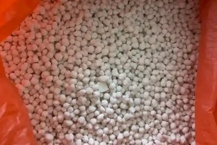 複合肥料撒施還是溶水澆？老農揭曉最佳答案