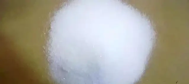 黃金葛葉子總髮黃？1克肥兌400水，10天澆一次就夠了！