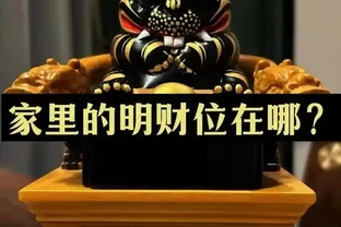 什麼是「財位」？為何在客廳的這個角落放綠植能招財？風水師揭秘