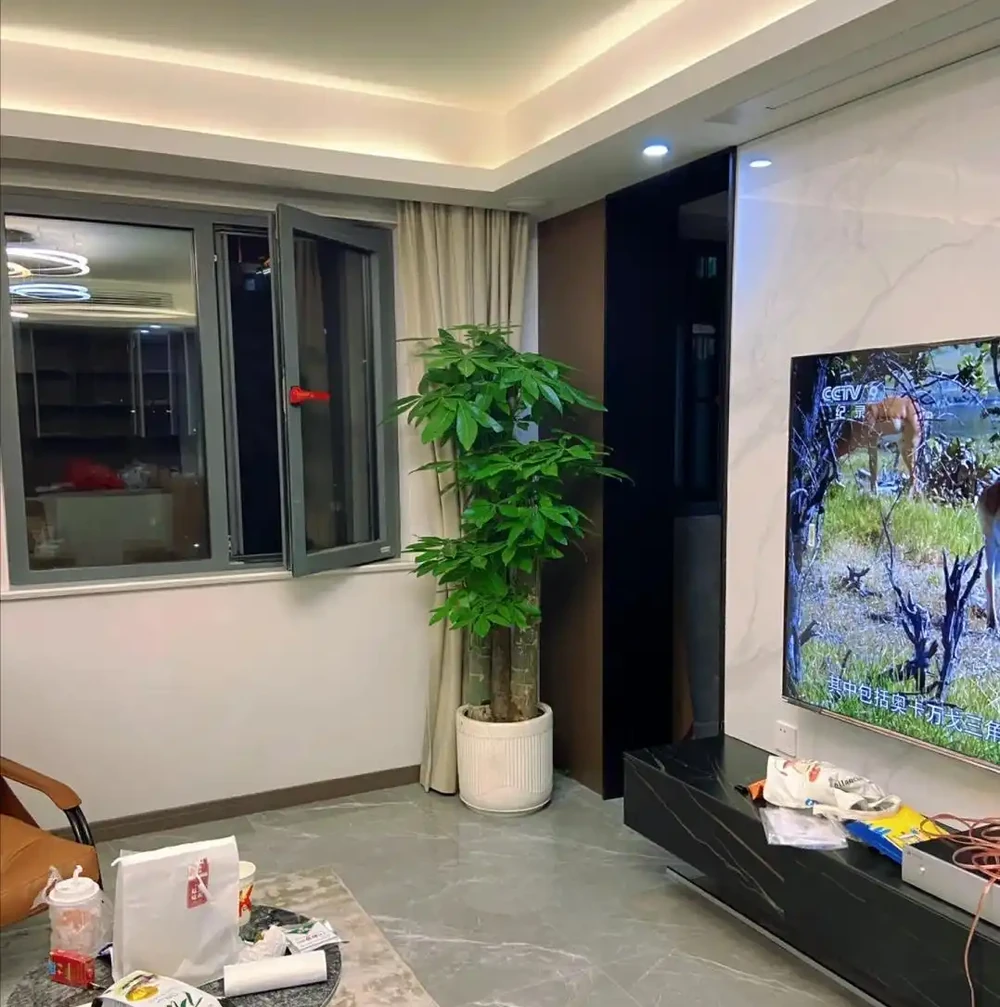 發財樹竟被拉進「黑名單」啦,原因有4個,花友們還接著養不?
