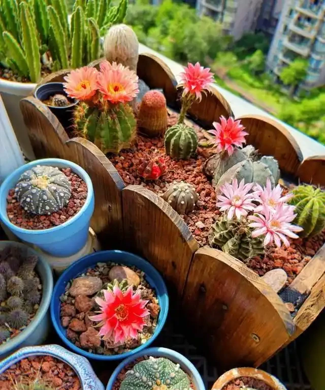 這7種植物「製氧能力」太強,不喜歡也該在室內養盆,對健康友好