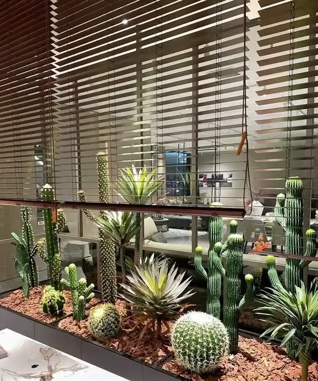 這7種植物「製氧能力」太強,不喜歡也該在室內養盆,對健康友好
