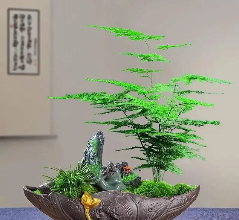 12款超好養的桌面綠植!打工人、學生黨閉眼入,養死算我輸!