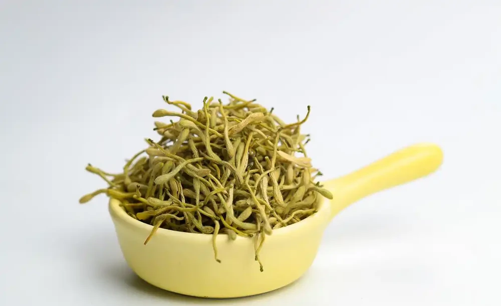 四季不落葉的爬藤植物有哪些