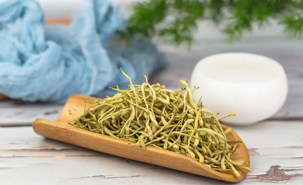 四季不落葉的爬藤植物有哪些