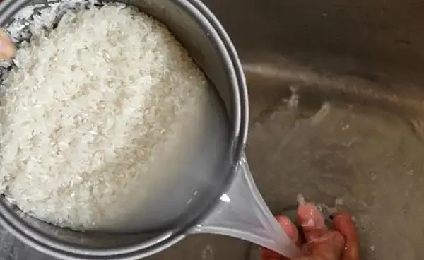 北方地植玫瑰怎麼過冬?變色玫瑰的種植yyif