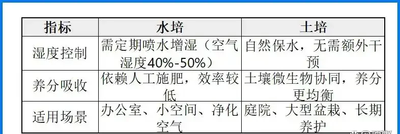 黃金葛適不適合水養?科學解讀與養護指南