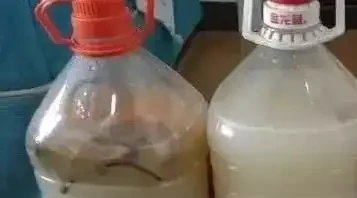淘米水澆花反害花蔫？3個步驟用對，花開滿盆！