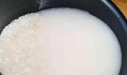 淘米水澆花反害花蔫？3個步驟用對，花開滿盆！
