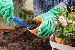 換盆別亂加料，這3種東西碰不得，花草一盆死一盆