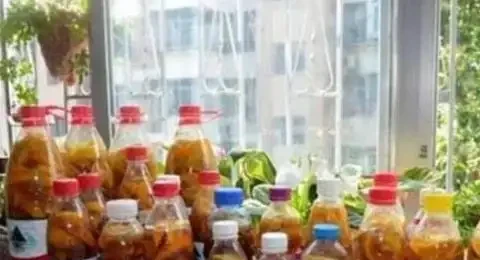 玫瑰不開花?試試淘米水,10天花苞擠滿枝