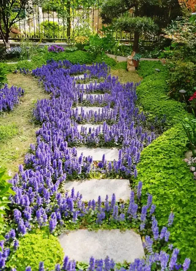 10種超省心的院子地被花，懶人也能養出花地毯