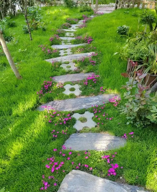 10種超省心的院子地被花，懶人也能養出花地毯