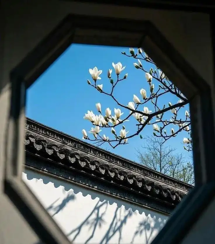 院子不必大,能盛放四季就好