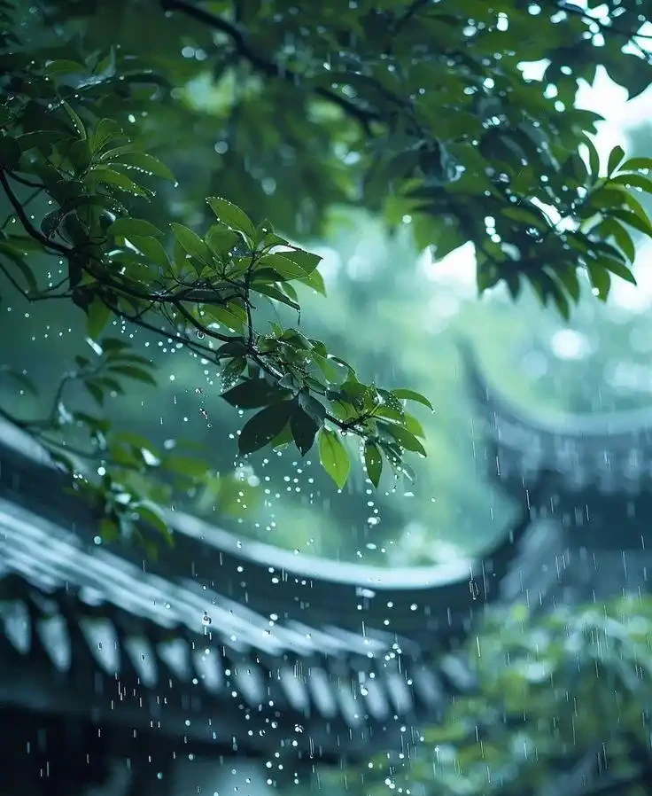 院子不必大,能盛放四季就好
