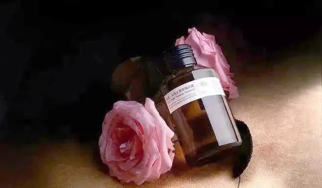 月季、玫瑰與薔薇的對比與識別