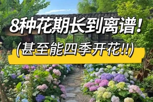 適合栽在院子的8種花，開花期長到離譜，花開浪漫時，太治癒！