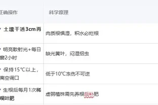 發財樹乾枯了怎麼救活