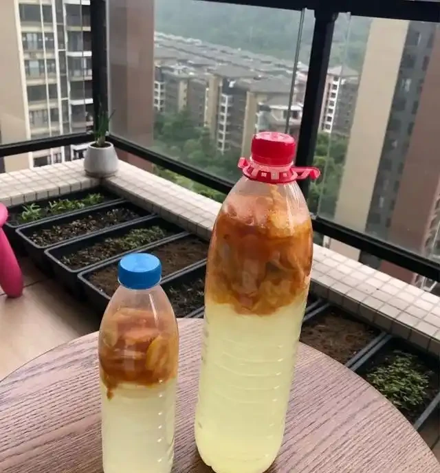 淘米水加一種皮,發酵快還沒味,花草吃瘋長,妥妥的「養花神器」