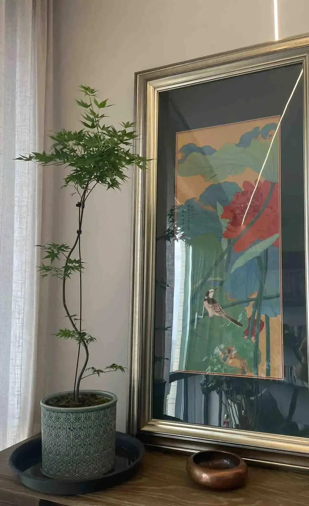 廣東一女子求助,客廳盆栽樹,一夜之間全焦了,咋辦:死了也要愛