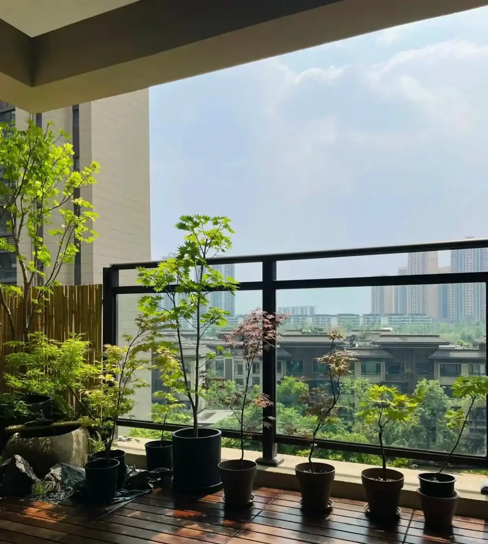 廣東一女子求助,客廳盆栽樹,一夜之間全焦了,咋辦:死了也要愛