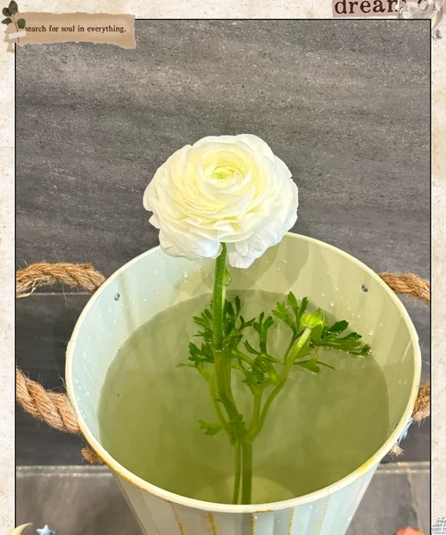 醒花全流程指南:4步喚醒鮮花的「沉睡美貌」