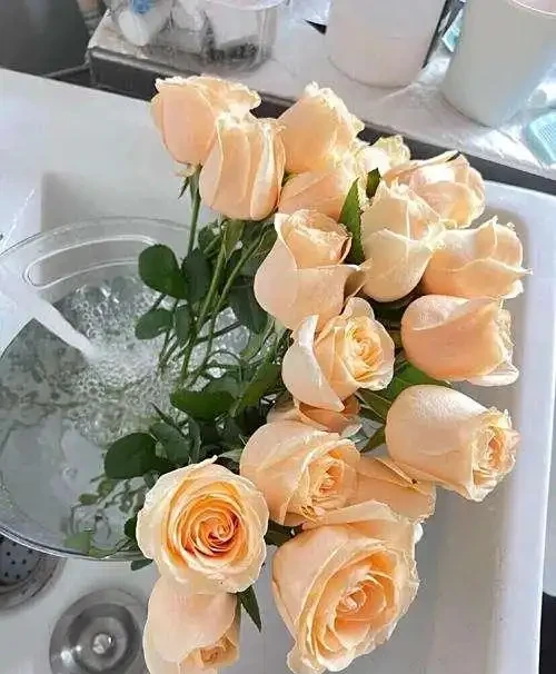 醒花全流程指南:4步喚醒鮮花的「沉睡美貌」