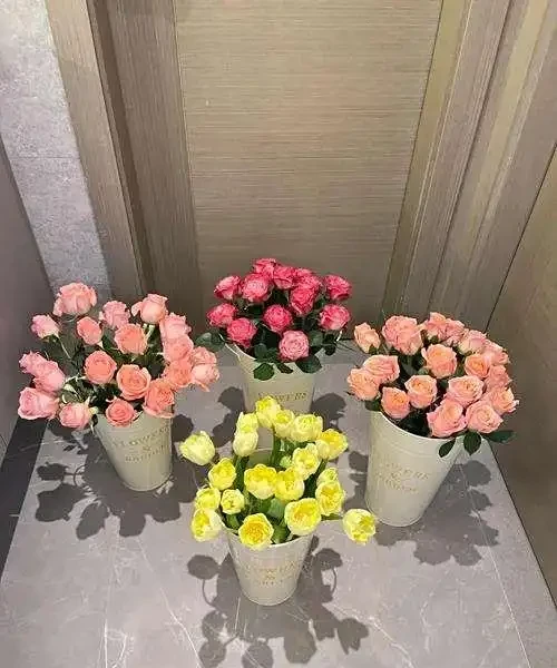 醒花全流程指南:4步喚醒鮮花的「沉睡美貌」