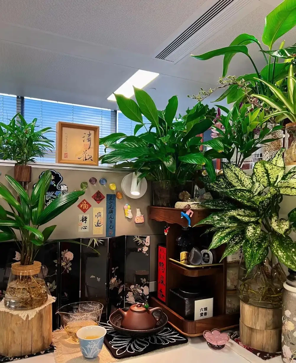 00後在工位上養花，把「班味」去得賊乾淨，老闆：公司最穩的員工