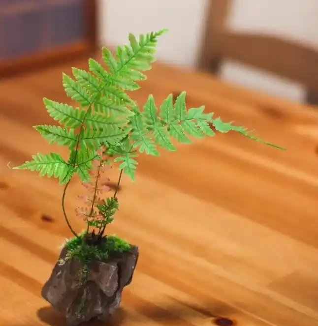 00後在工位上養花，把「班味」去得賊乾淨，老闆：公司最穩的員工