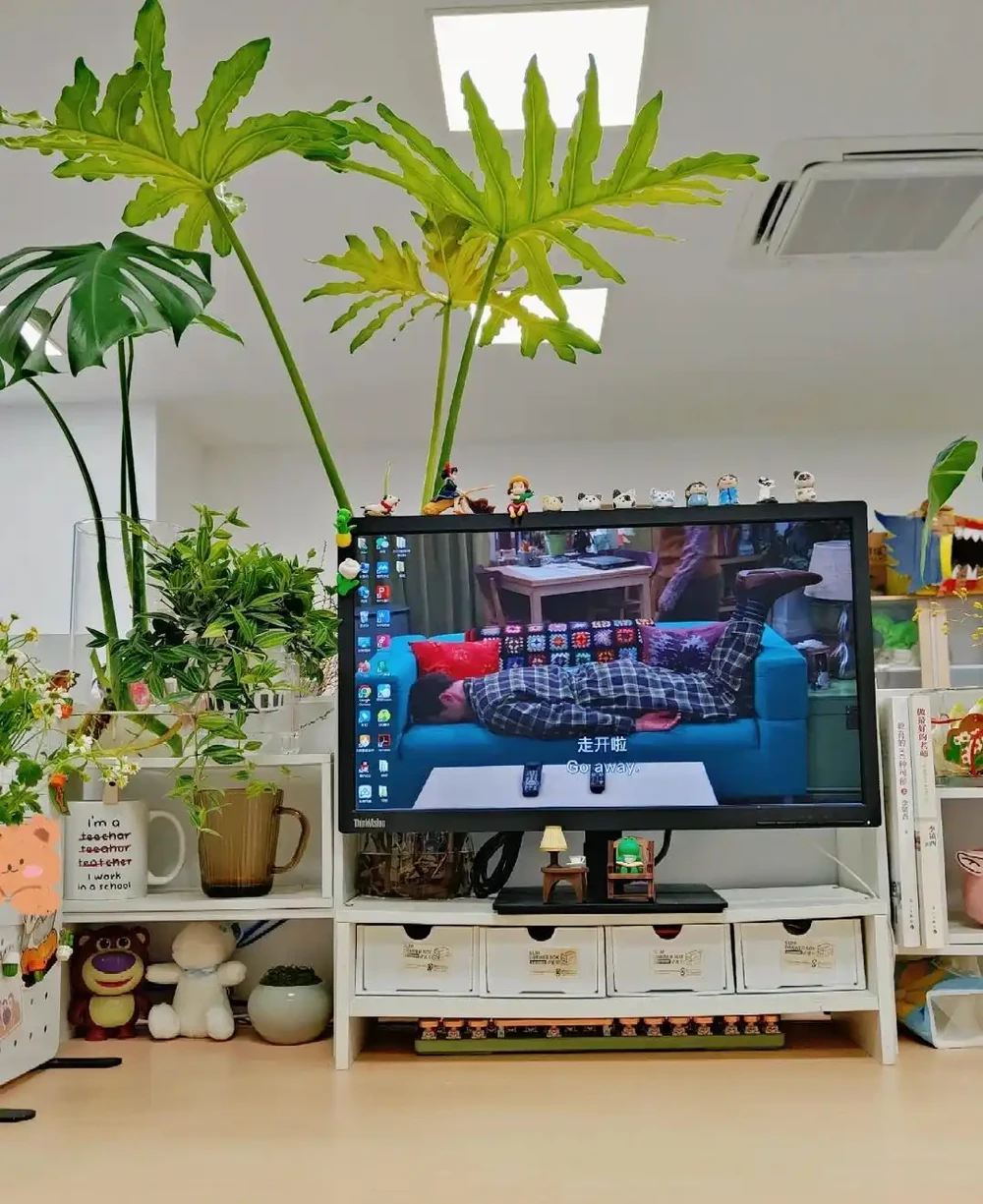 00後在工位上養花，把「班味」去得賊乾淨，老闆：公司最穩的員工