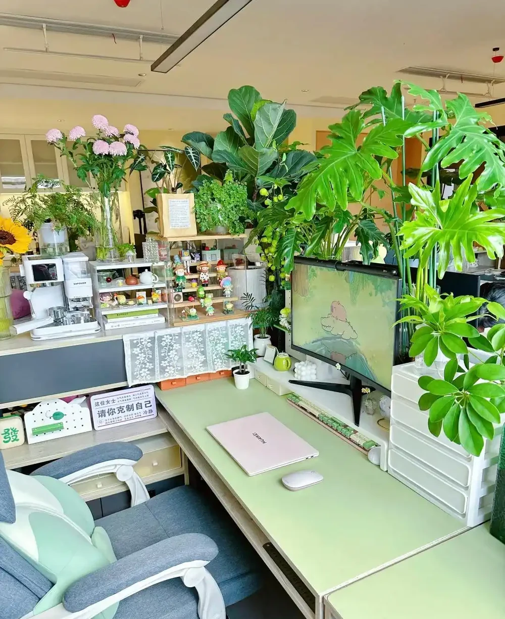 00後在工位上養花，把「班味」去得賊乾淨，老闆：公司最穩的員工